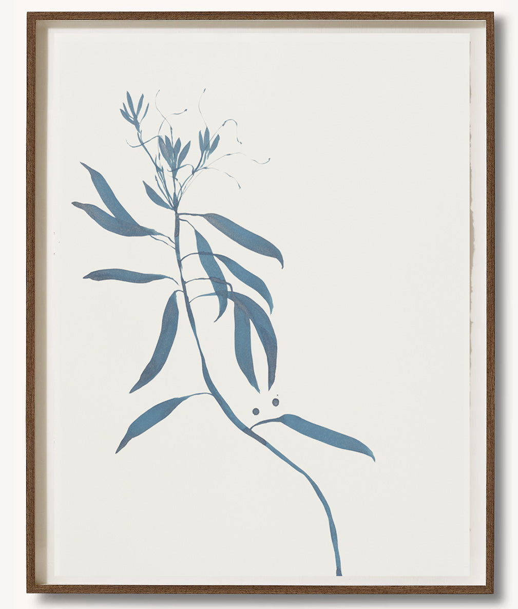 Teal Plant Watercolor