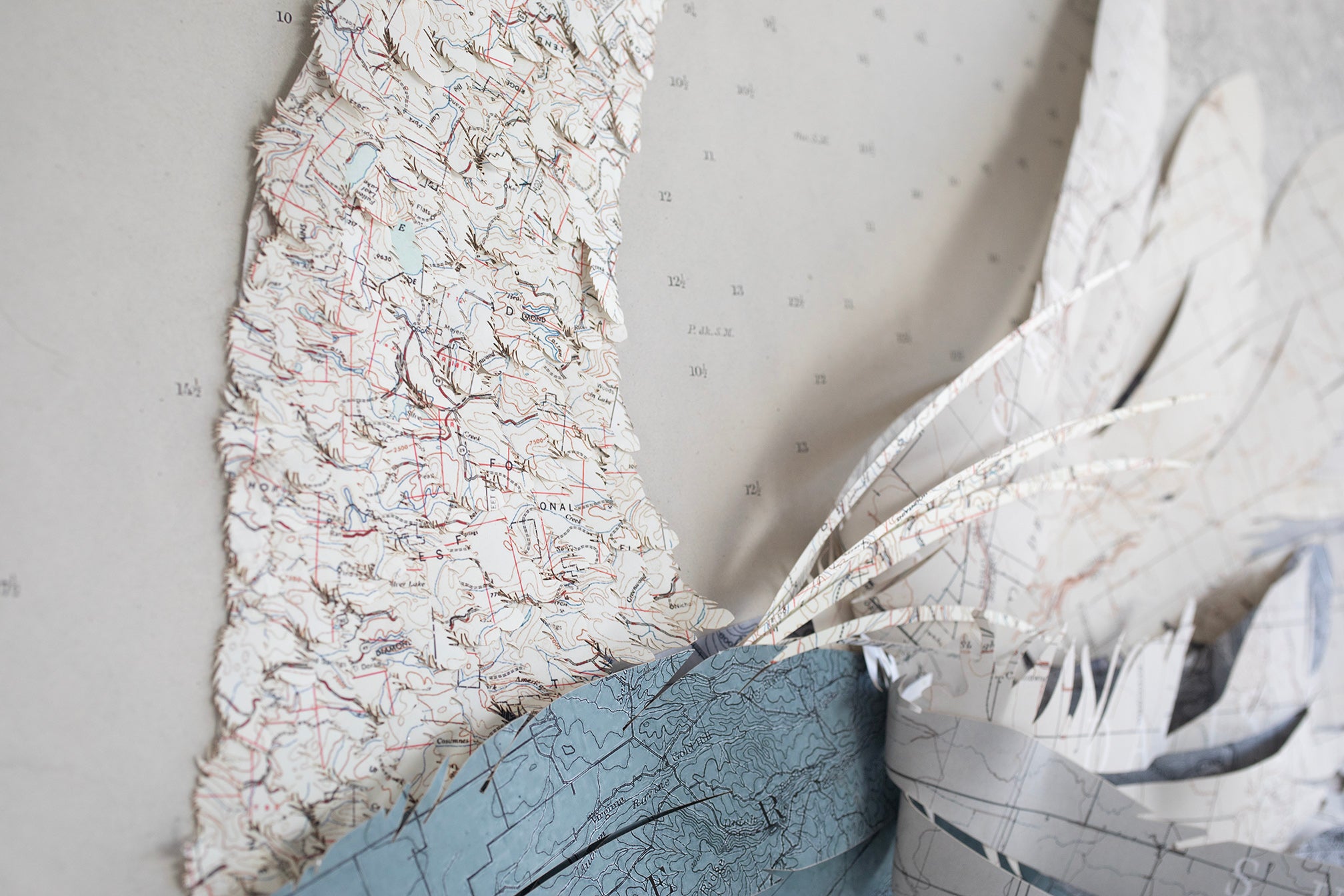 Map Collage Sand Hill Crane