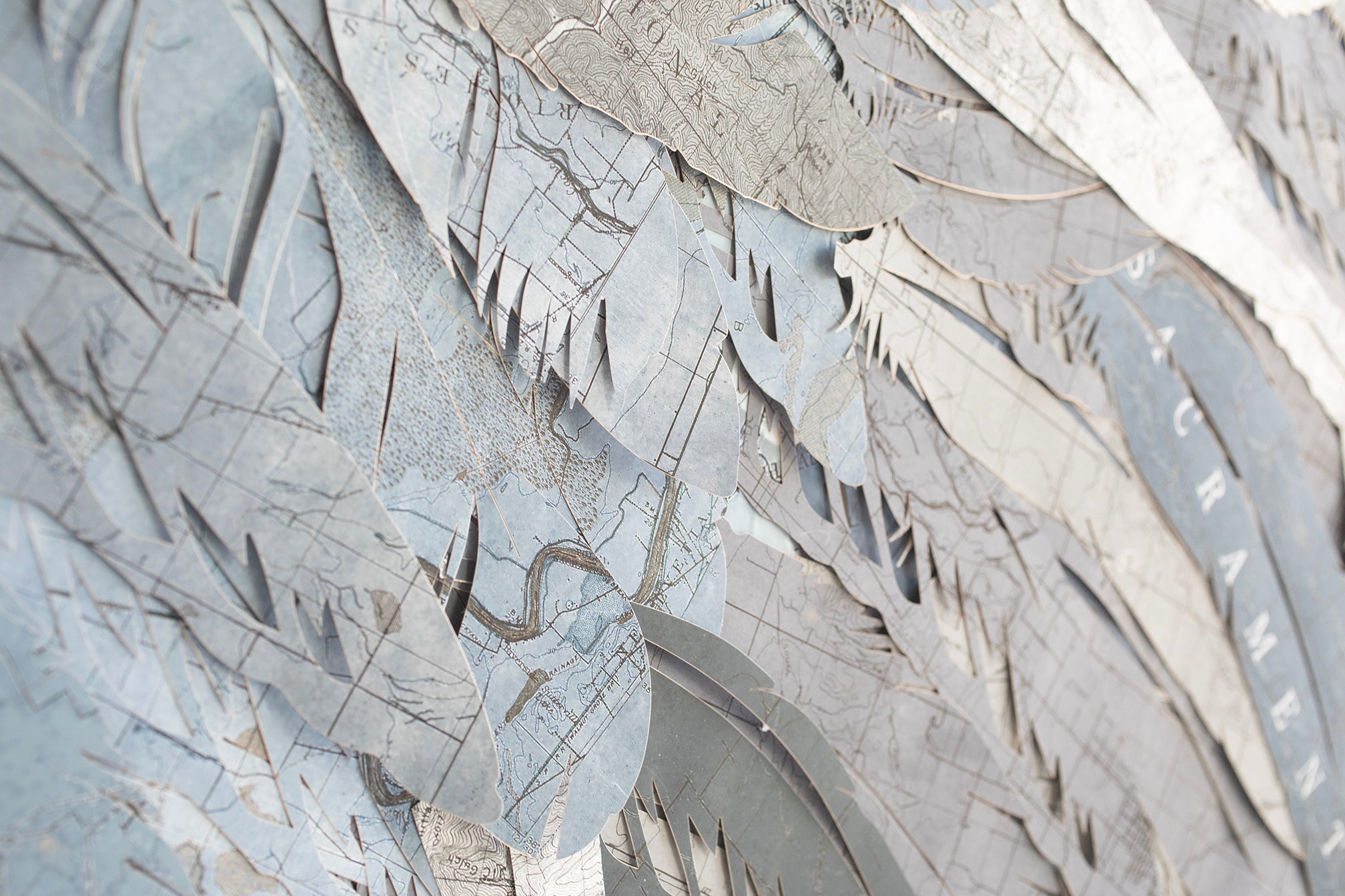 Map Collage Sand Hill Crane