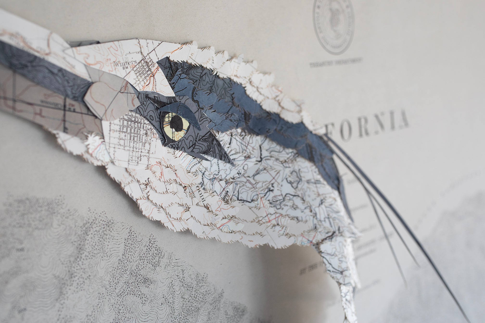 Map Collage Sand Hill Crane