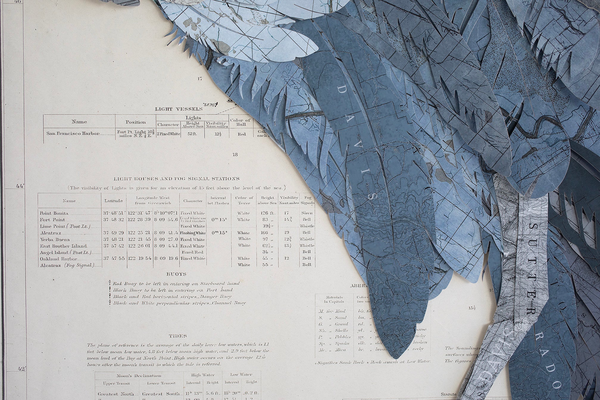 Map Collage Sand Hill Crane