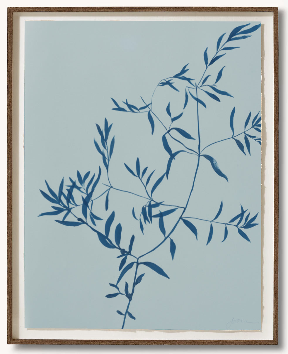 Watercolor Olive Branch, Teal