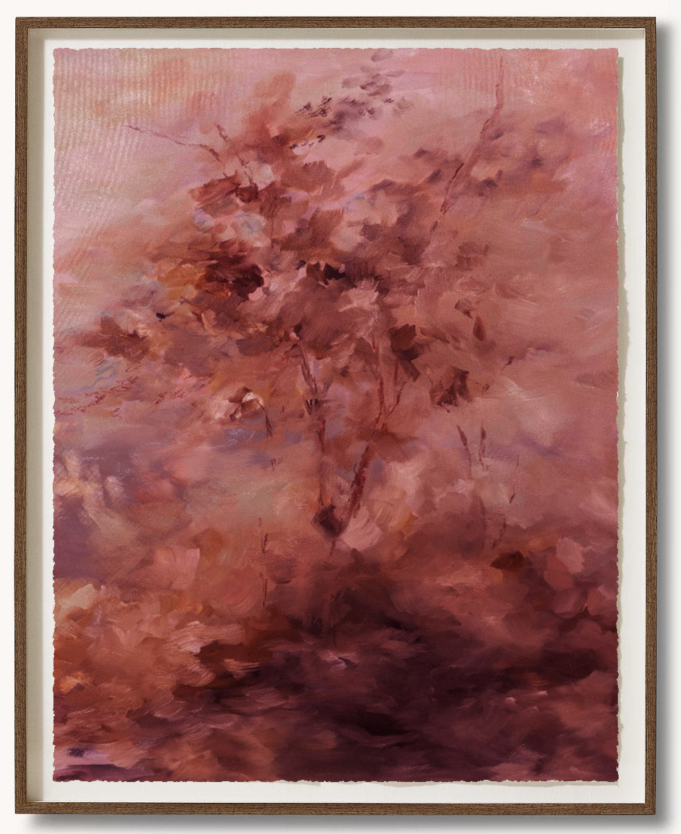 Abstract Forest Elderberry II