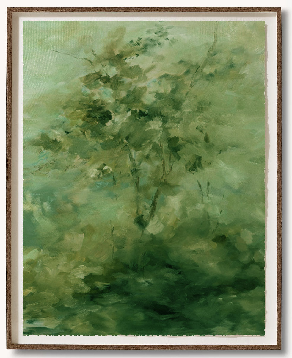 Abstract Forest Pine II