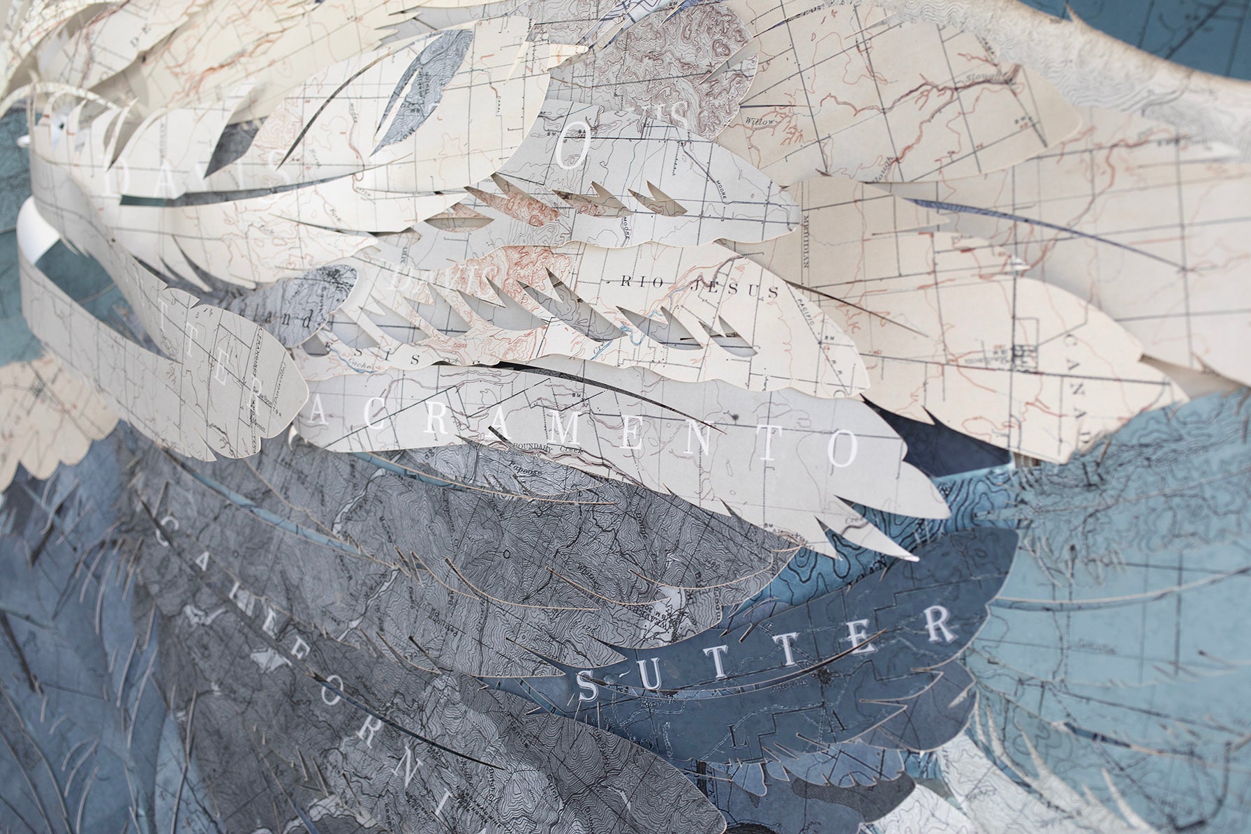 Map Collage Sand Hill Crane