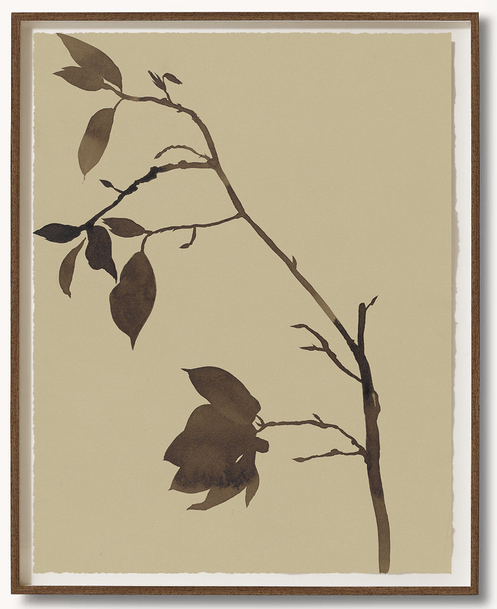 1 Magnolia Fall Branch